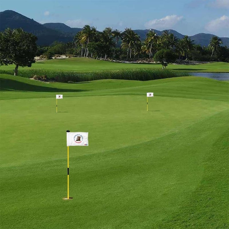 2BUT 2025 US Open Flag Oakmont Golf Pin USGA Flag Practic Putting Green Golf Flag For Backyard Garden Double-Sewn 600D Nylon Miniature Pin Flag Regulation Tube Flag(white 8"x6") - Image 5